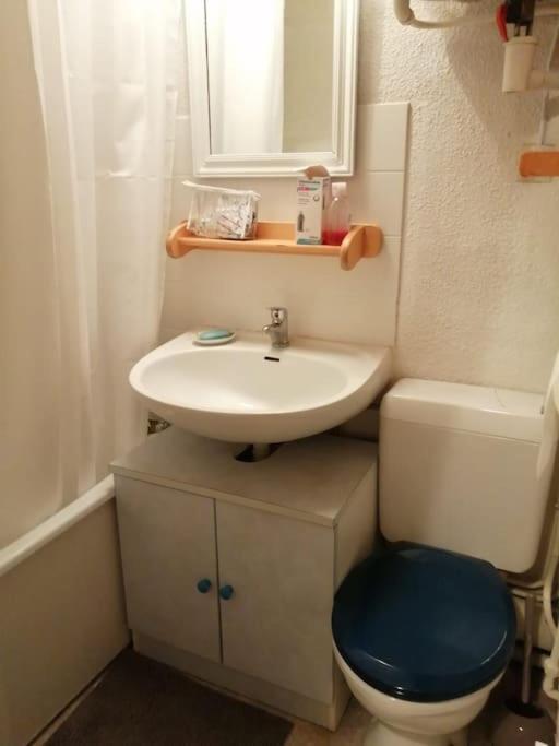 Appartement Montagne La Vallee Verte Coeur Station Hirmentaz 벨르보 외부 사진
