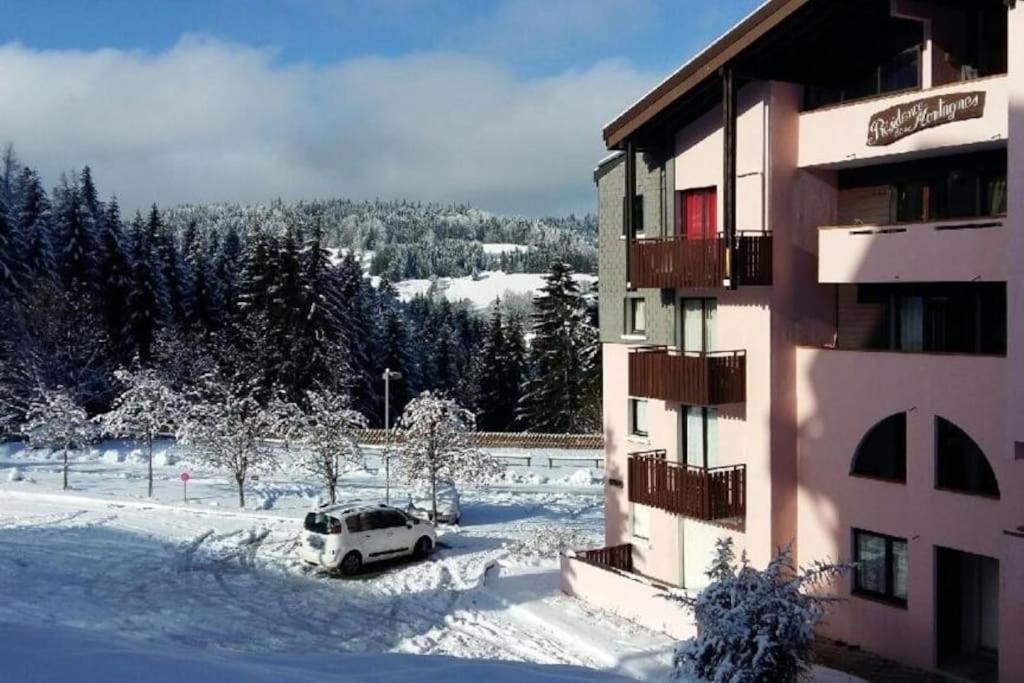 Appartement Montagne La Vallee Verte Coeur Station Hirmentaz 벨르보 외부 사진